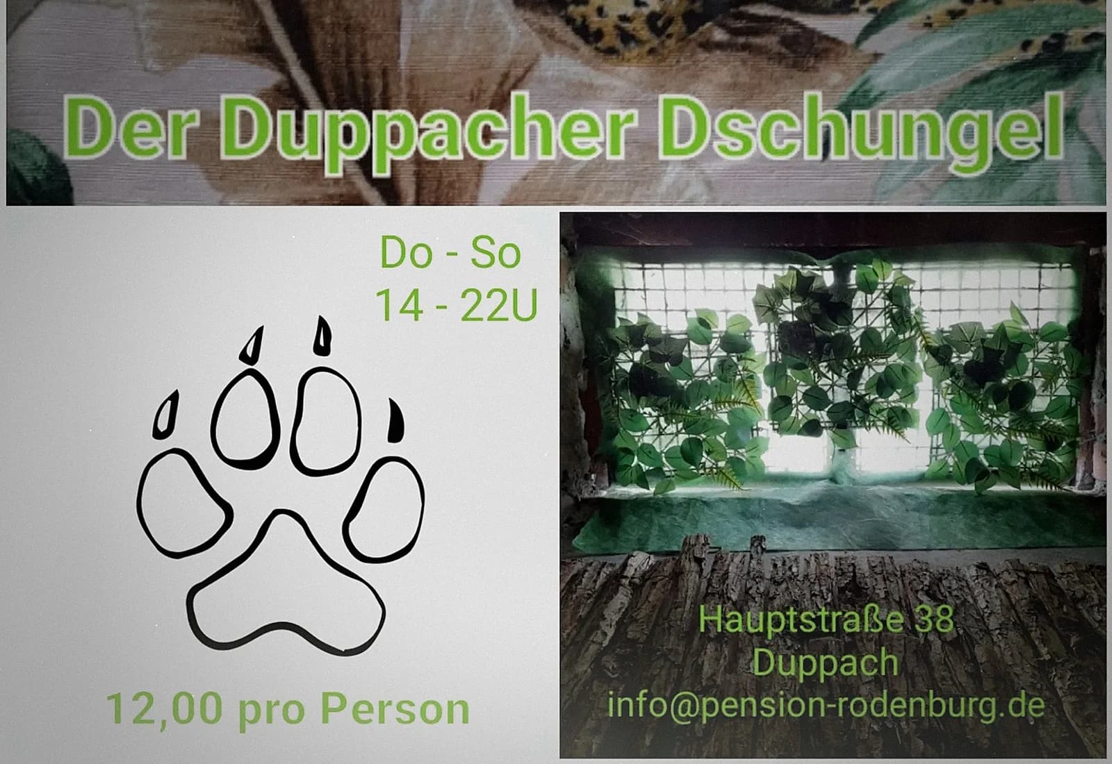 Duppacher Dschungel – Escape Room in Duppach