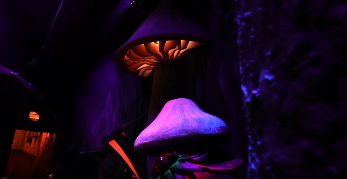 Alice im Wunderland – Escape Room in Bamberg
