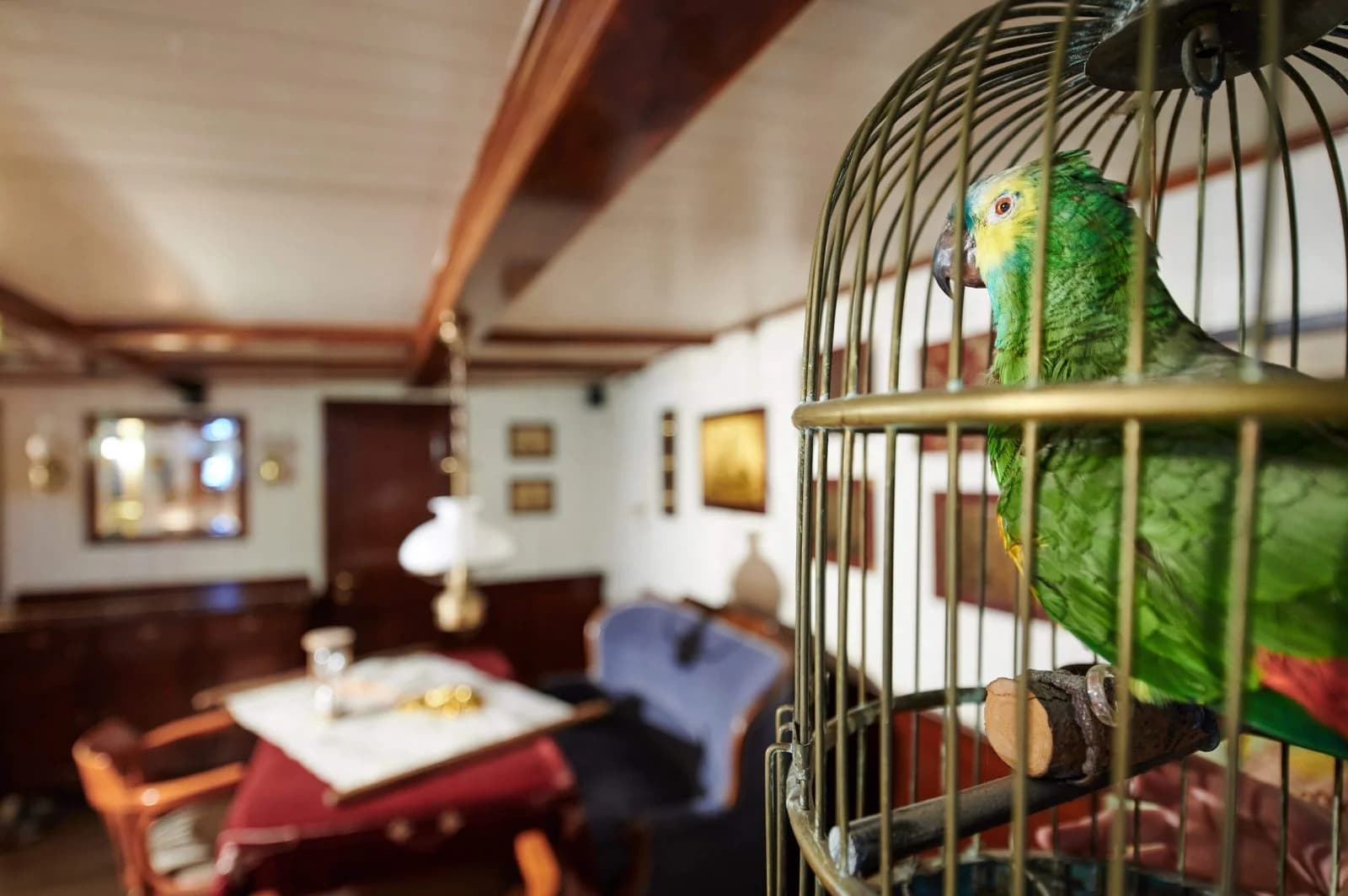 Captain Über Board – Escape Room in Hamburg