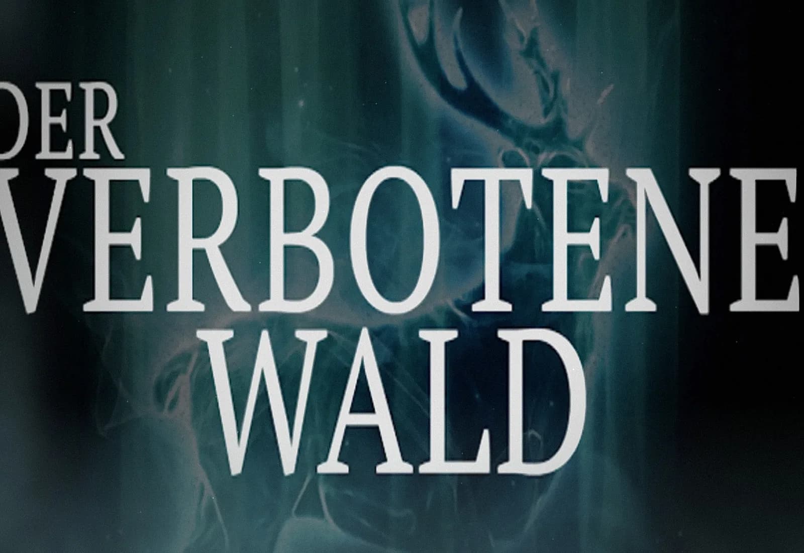 Der Verbotene Wald – Eine Harry Geschichte