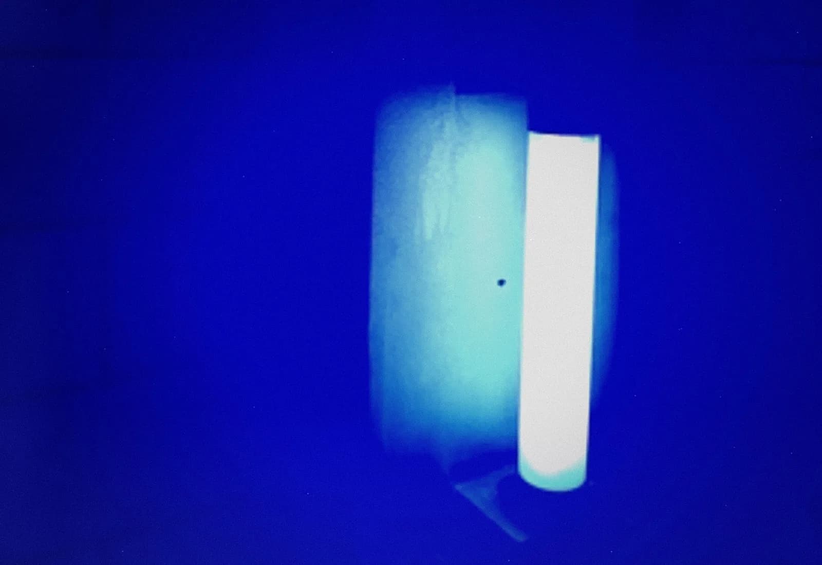 Mutprobe