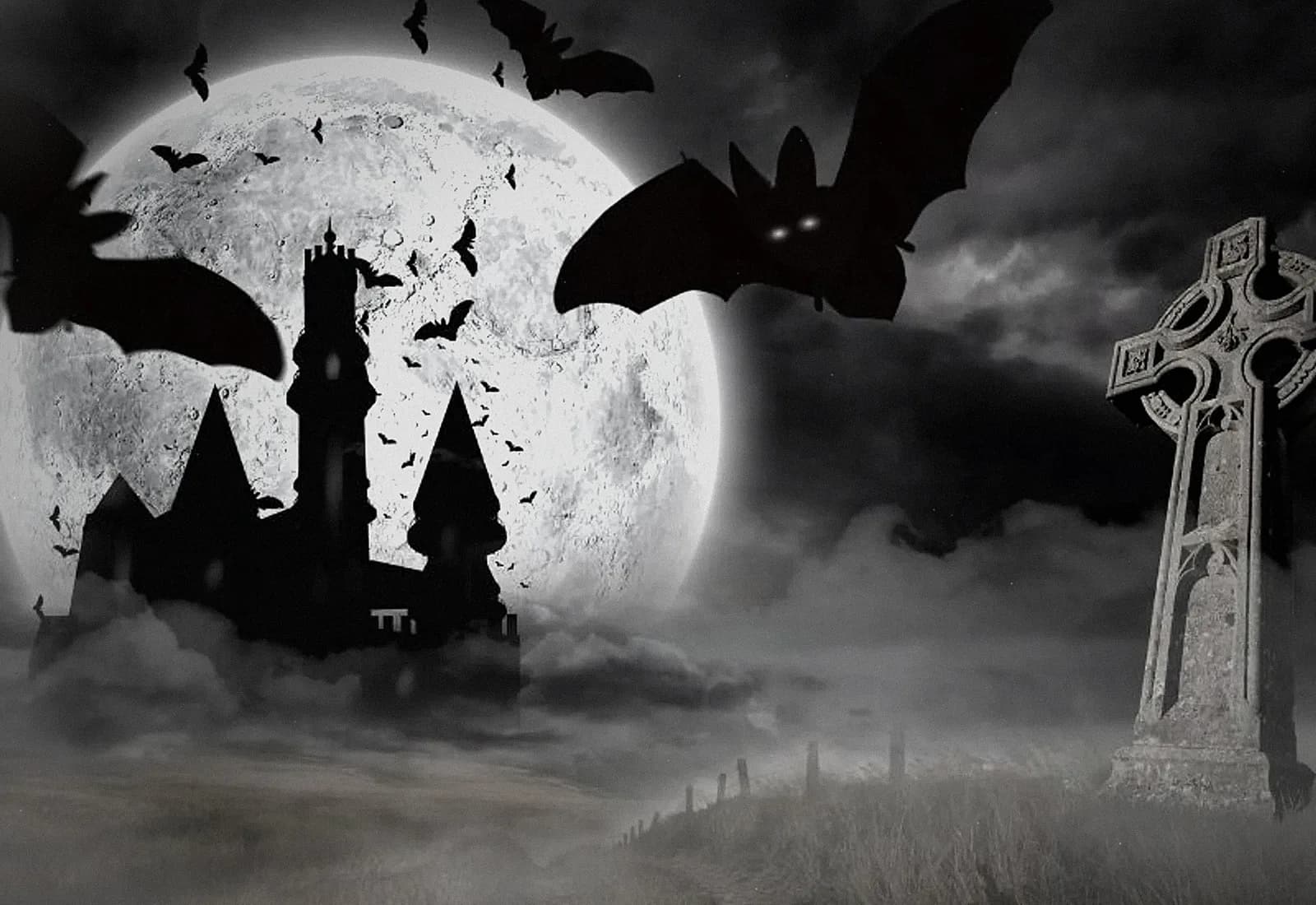 Draculas Schloss