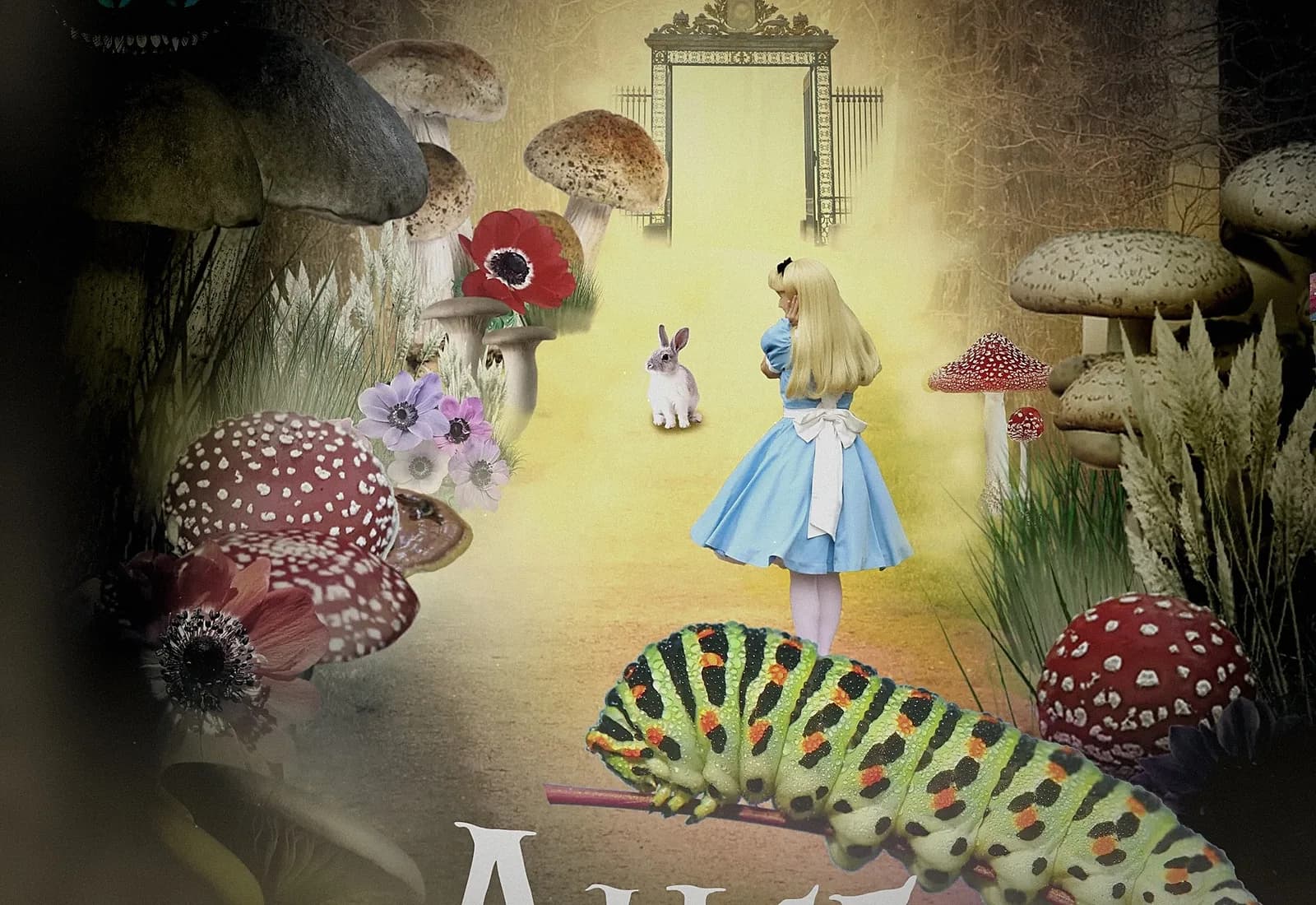 Alice